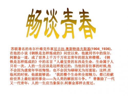 九年级语文语文版上册(课件):口语交际《青畅谈》课件