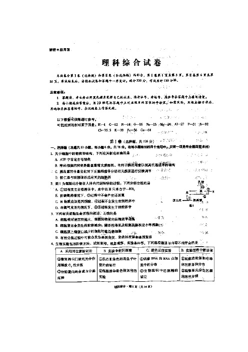 2015模拟 贵州省贵阳市第一中学2015届高考适应性月考卷(五)理科综合试题 扫描版含答案