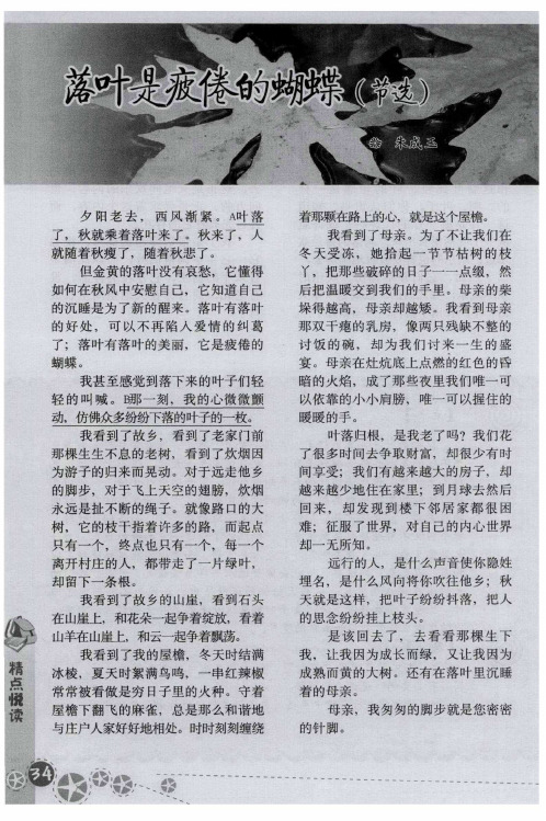 落叶是疲倦的蝴蝶(节选)