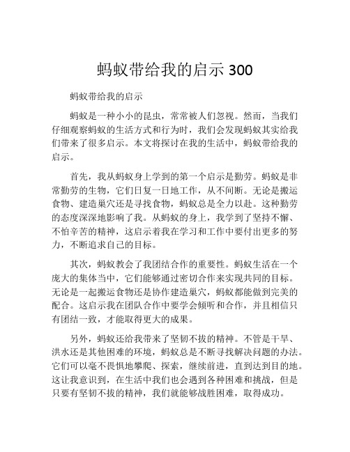 蚂蚁带给我的启示300