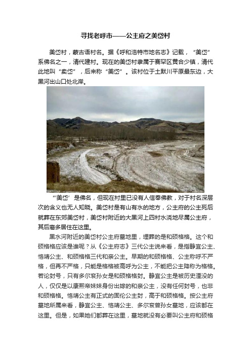 寻找老呼市——公主府之美岱村