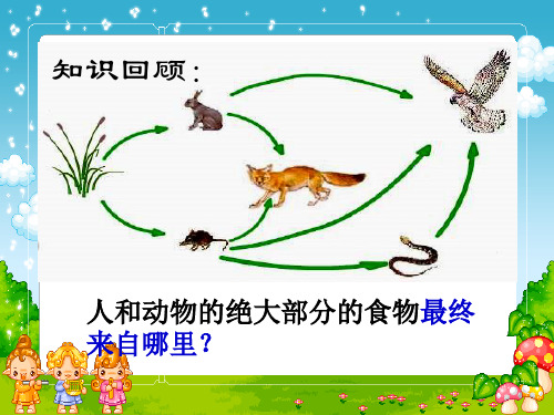 最新人教版初中初一七年级生物上册第四章_绿色植物是生物圈中有机物的制造者精品课件