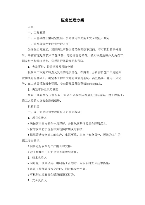 应急处理方案