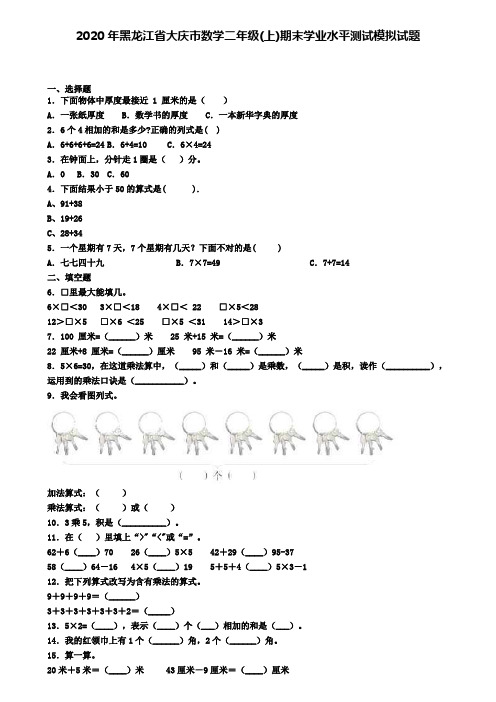 2020年黑龙江省大庆市数学二年级(上)期末学业水平测试模拟试题