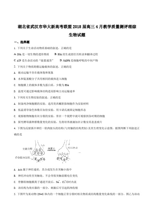 【全国校级联考】湖北省武汉市华大新高考联盟2018届高三4月教学质量测评理综生物试题(原卷版)