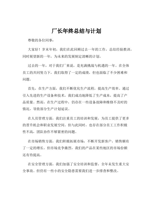 厂长年终总结与计划