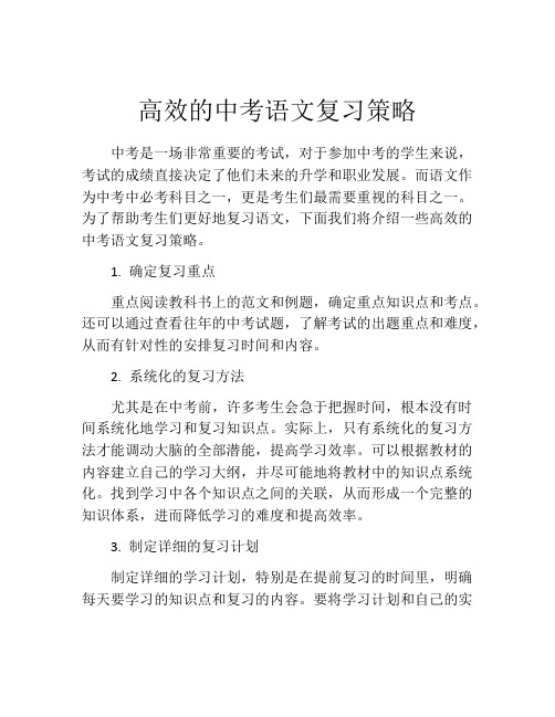 高效的中考语文复习策略