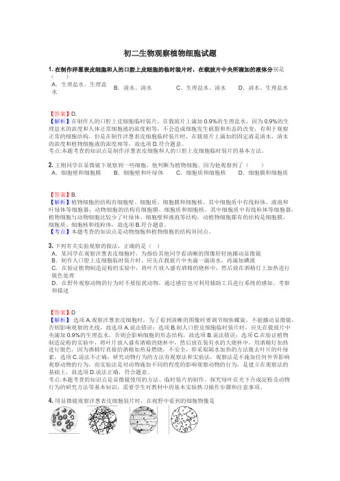 初二生物观察植物细胞试题
