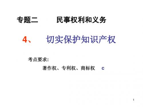 2019-2020版高中政治人教版选修五课件2.4切实保护知识产权(共14张PPT)