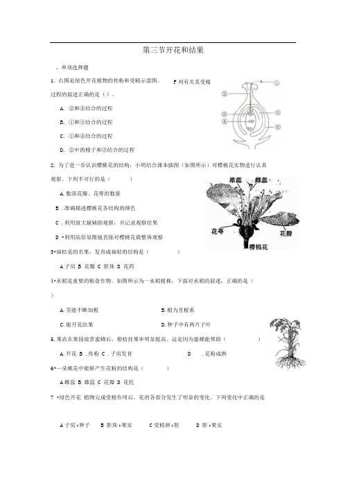 人教版七上《开花和结果》word同步测试