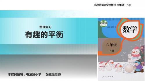 人教版数学六年级下册 6.5.4  课件 《有趣的平衡》