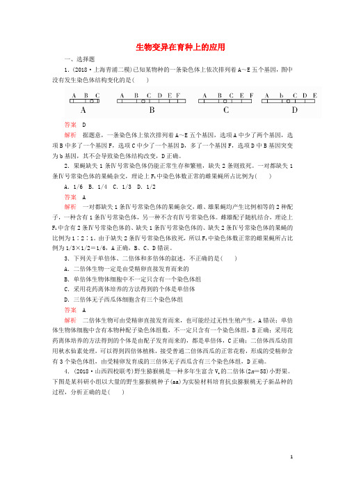 2020年高考生物一轮复习第七单元第23讲生物变异在育种上的应用(第二课时)课时作业(含解析)(必修2)