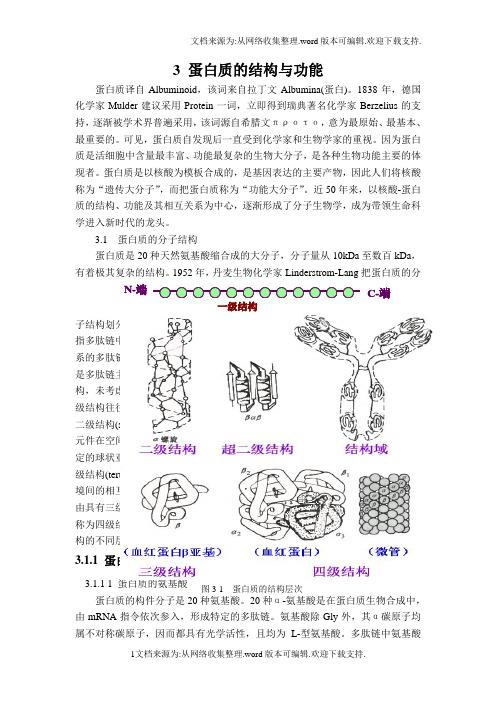 蛋白质的结构