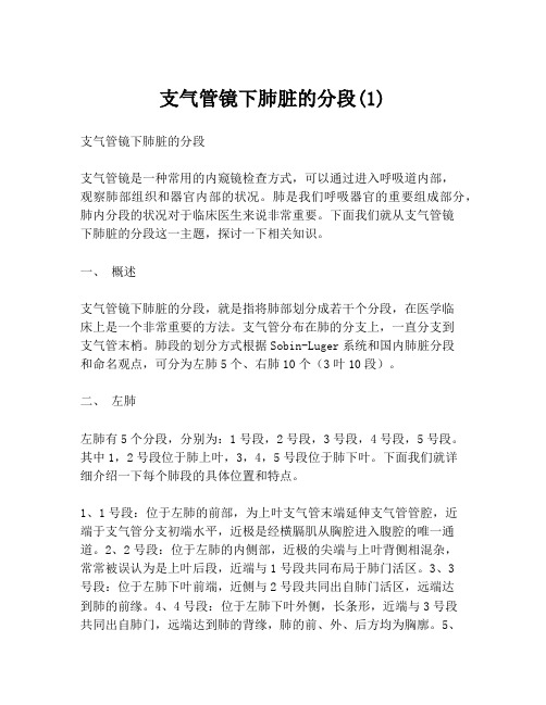 支气管镜下肺脏的分段(1)