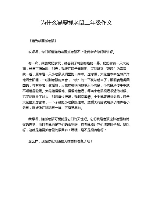 为什么猫要抓老鼠二年级作文