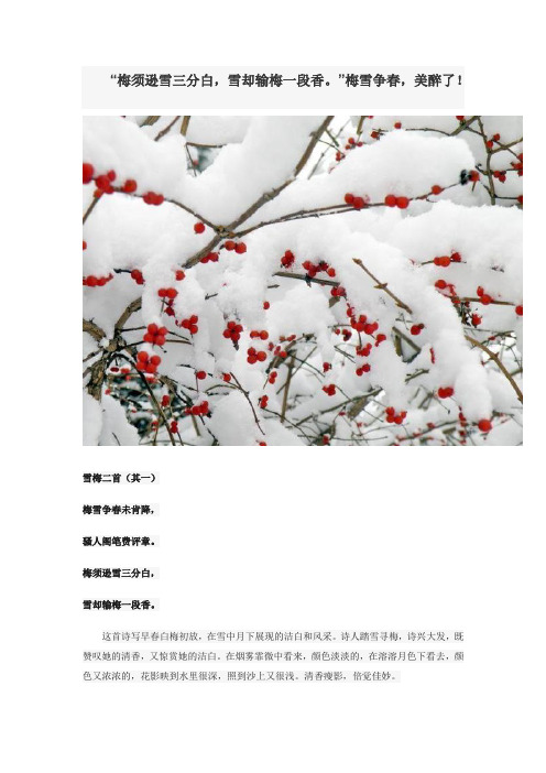 “梅须逊雪三分白,雪却输梅一段香。”梅雪争春,美醉了!