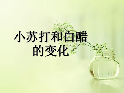 小苏打和白醋的变化PPTppt课件