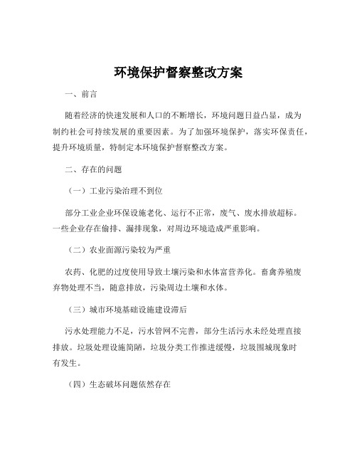 环境保护督察整改方案