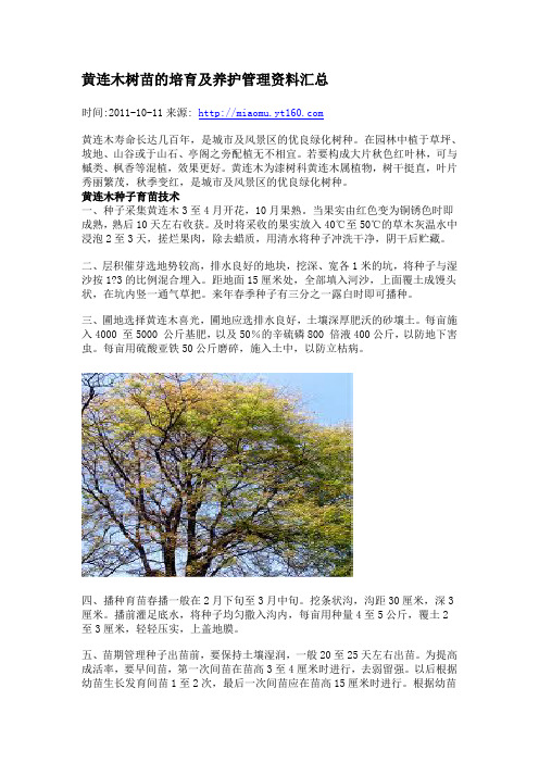 黄连木树苗的培育及养护管理资料汇总