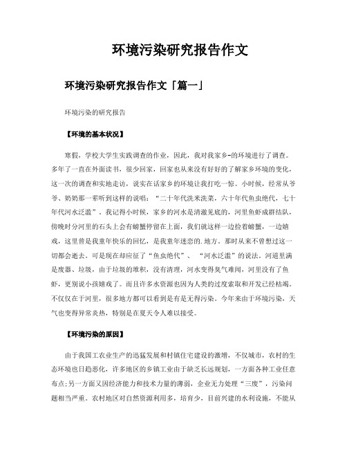 环境污染研究报告作文