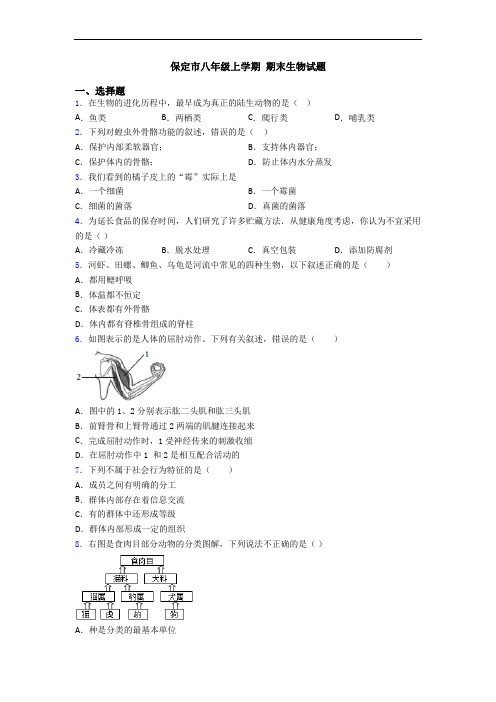 保定市八年级上学期 期末生物试题