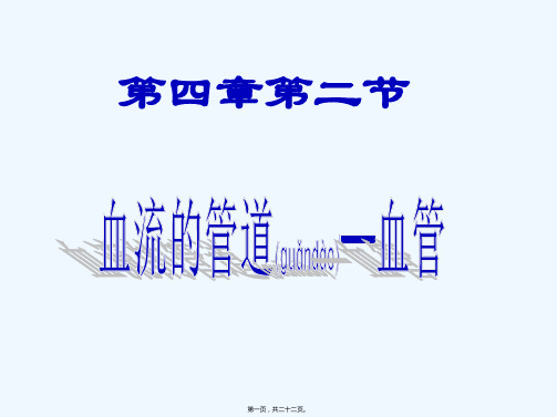 七年级生物下册 4.4.2 血流的管道—血管课件9 