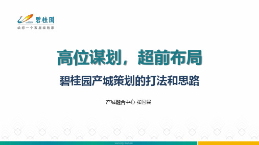 高位谋划,超前布局——碧桂园产城策划的打法与思路