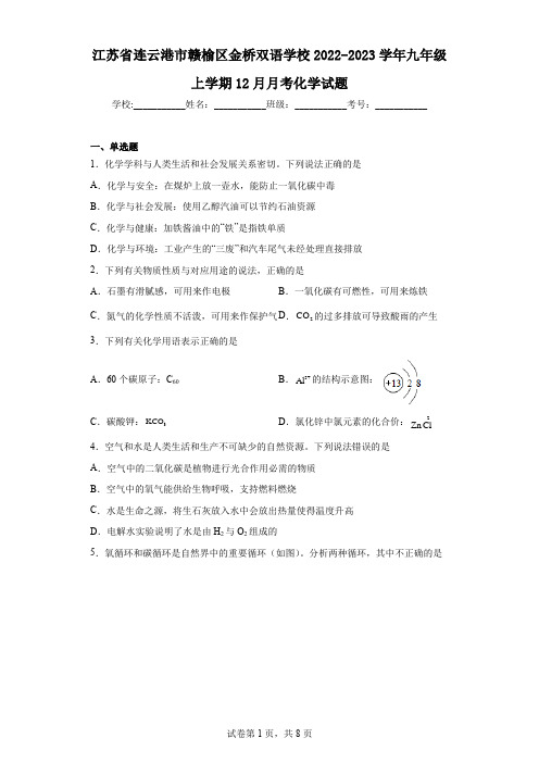 江苏省连云港市赣榆区金桥双语学校2022-2023学年九年级上学期12月月考化学试题