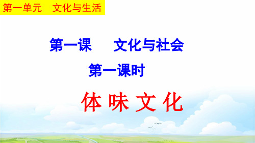 高中政治必修3优质课件2:1.1 体味文化