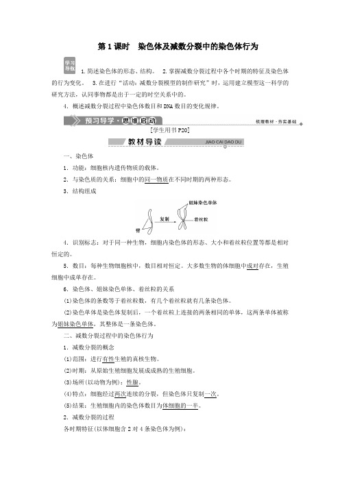 高中生物第二章第一节减数分裂中的染色体行为第1课时染色体及减数分裂中的染色体行为学案浙科版必修2