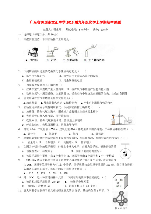 广东省深圳市文汇中学九年级化学上学期期中试题 新人教版