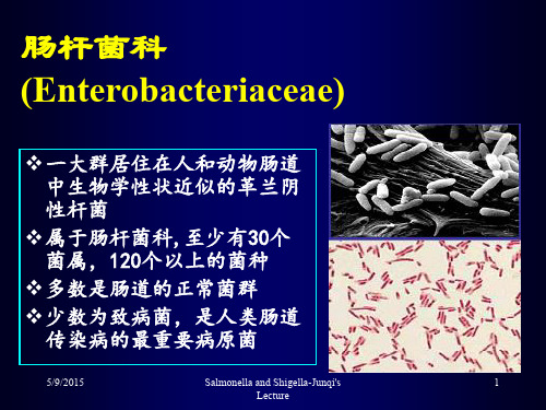 《细菌学》教学课件：肠杆菌科