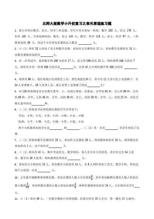 北师大版数学小升初复习之容斥原理练习题