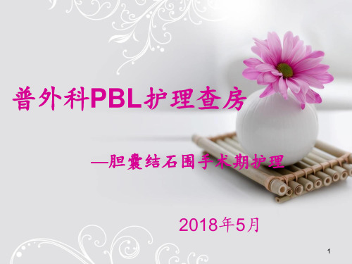 胆结石护理查房 ppt课件