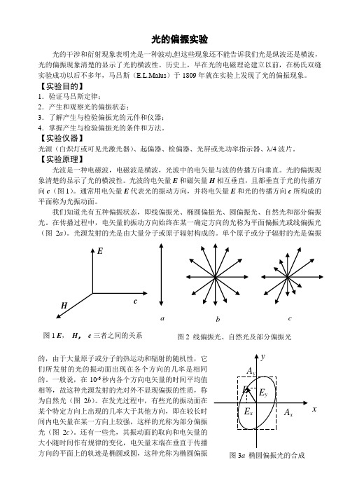 光的偏振实验