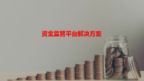 国资资金监管方案