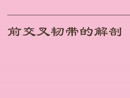 膝关节前交叉韧带的解剖ppt课件