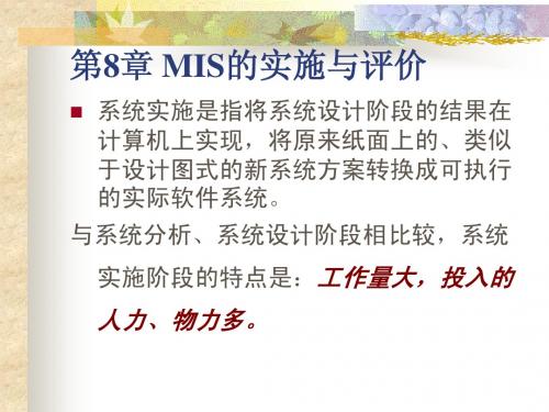 MIS的实施与评价