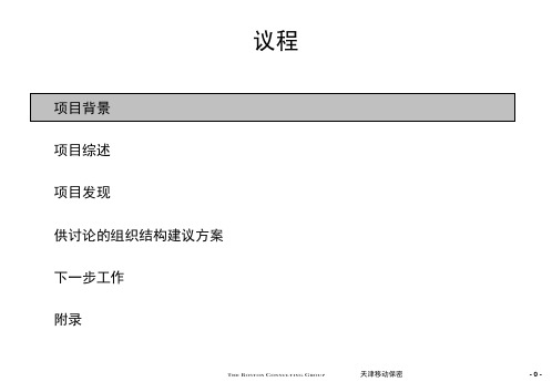 BCG咨询报告