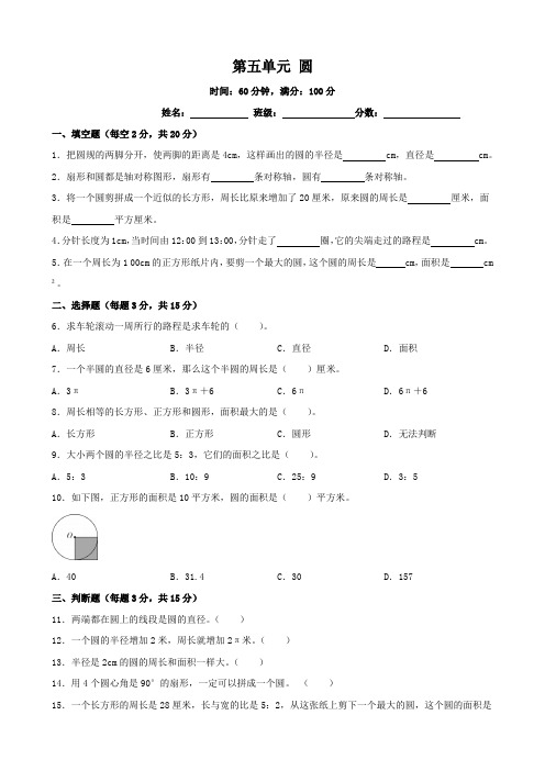 第五单元 圆 单元测试 2024-2025学年人教版数学六年级上册