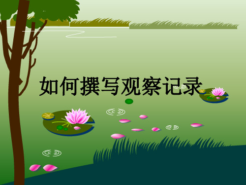 幼儿园观察记录