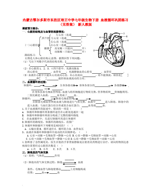 内蒙古鄂尔多斯市东胜区培正中学七年级生物下册 血液循环巩固练习(无答案) 新人教版