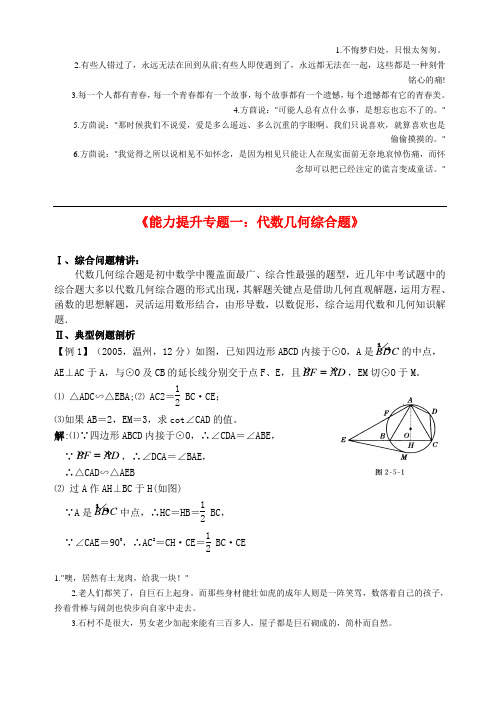 贵州省遵义县第六中学九年级数学上学期能力提升专题一 代数几何综合题 新人教版