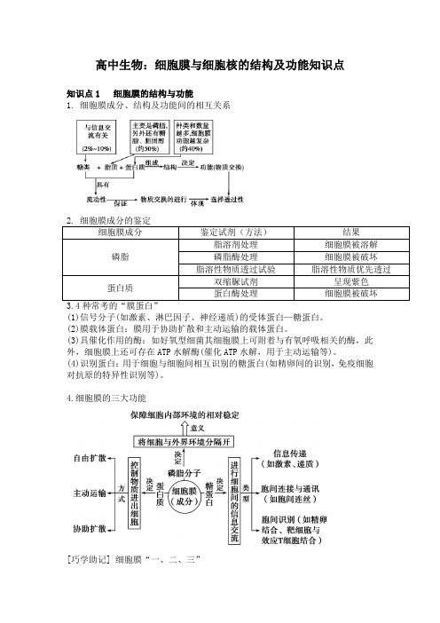 高中生物：细胞膜与细胞核的结构及功能知识点