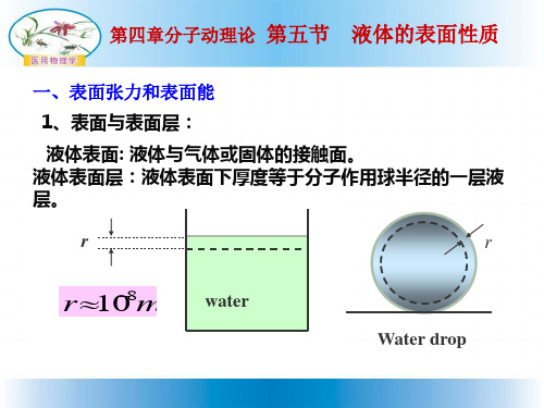 液体的表面性质