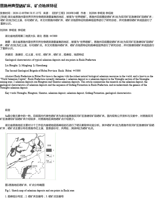 恩施州典型硒矿床、矿点地质特征