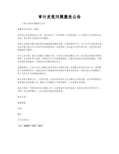 审计发现问题整改公告