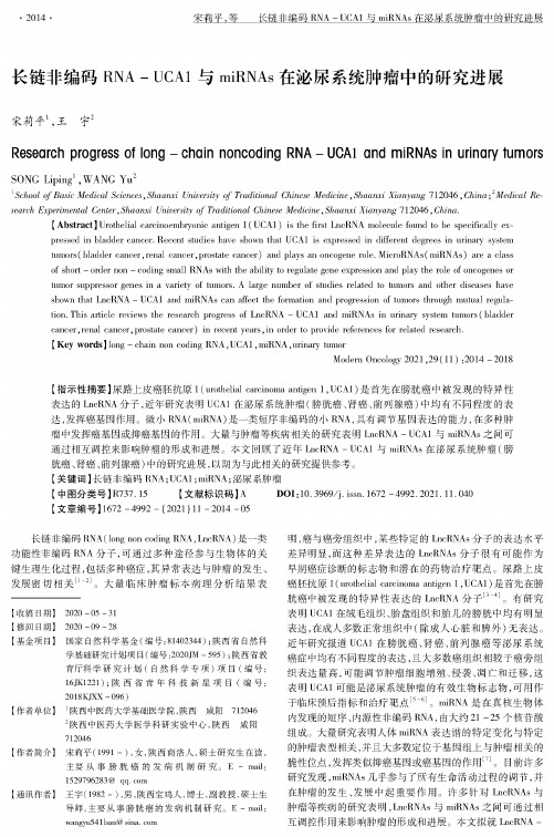 长链非编码RNA-UCA1与miRNAs在泌尿系统肿瘤中的研究进展