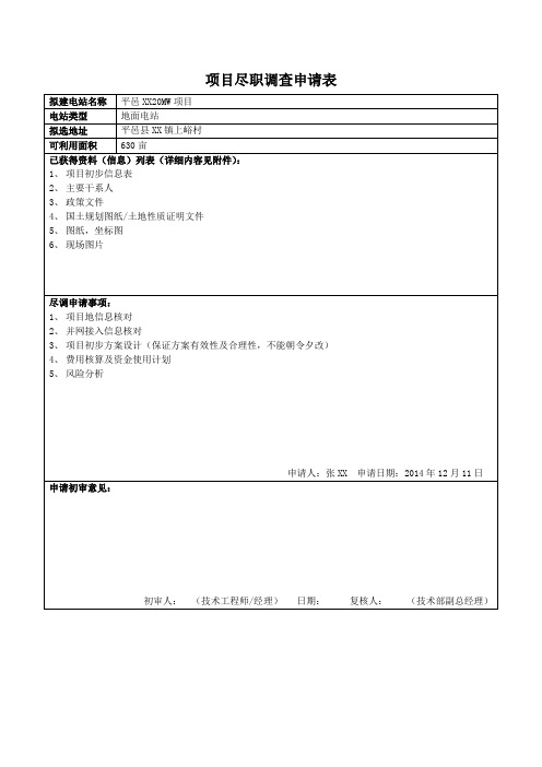 电站项目尽职调查申请