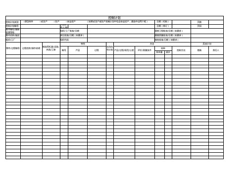 控制计划模板(2024年新版)